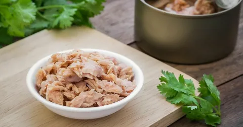 تصویر 2 از خرید تن ماهی در روغن گیاهی + قیمت عالی باکیفیت